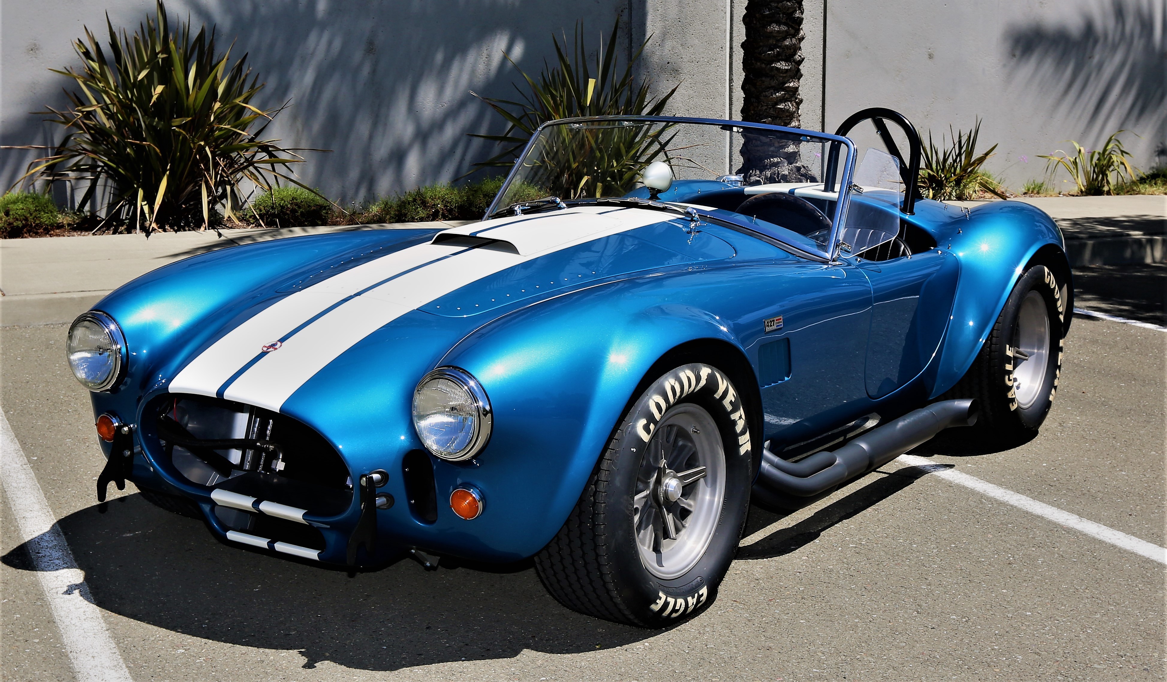 cobra